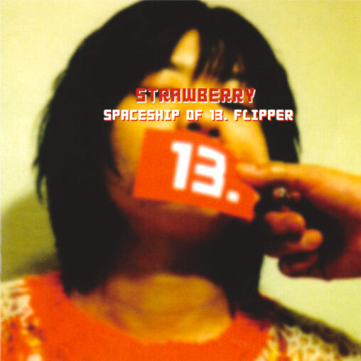 STRAWBERRY - SPACESHIP OF 13. FLIPPER